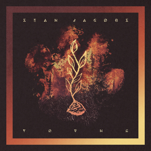 舞香阿姨演的电影大全
